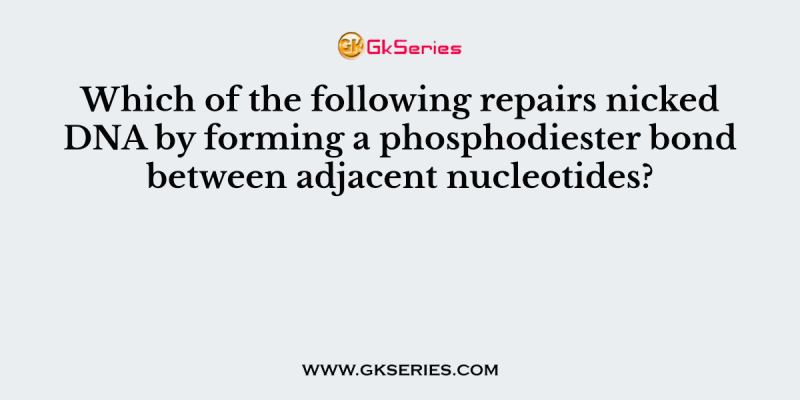 Which of the following repairs nicked DNA by forming a phosphodiester bond between adjacent nucleotides?