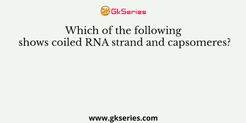 Which of the following shows coiled RNA strand and capsomeres?