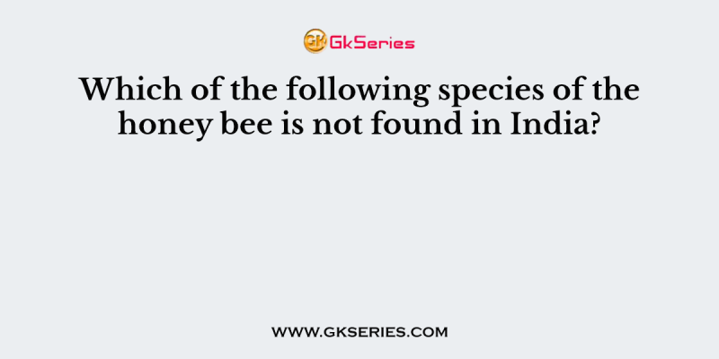 Which of the following species of the honey bee is not found in India?