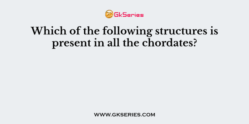Which of the following structures is present in all the chordates?