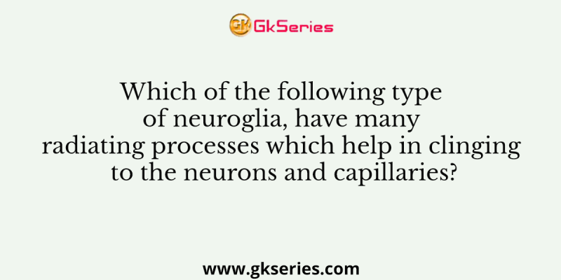 Which of the following type of neuroglia, have many radiating processes which help in clinging to the neurons and capillaries?