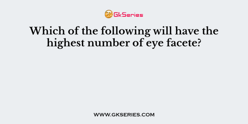 Which of the following will have the highest number of eye facete?