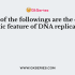 In prokaryotes, DNA replication begins at a single site that is rich in AT nucleotide sequence, where two strands unwind and separate. This ATP dependent process catalyzed by a protein