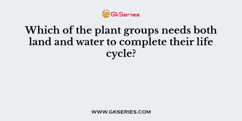 Which of the plant groups needs both land and water to complete their life cycle?