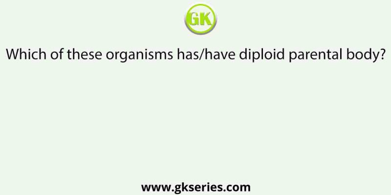 Which of these organisms has/have diploid parental body?