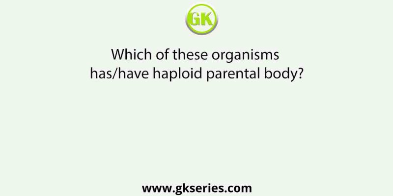 Which of these organisms has/have haploid parental body?