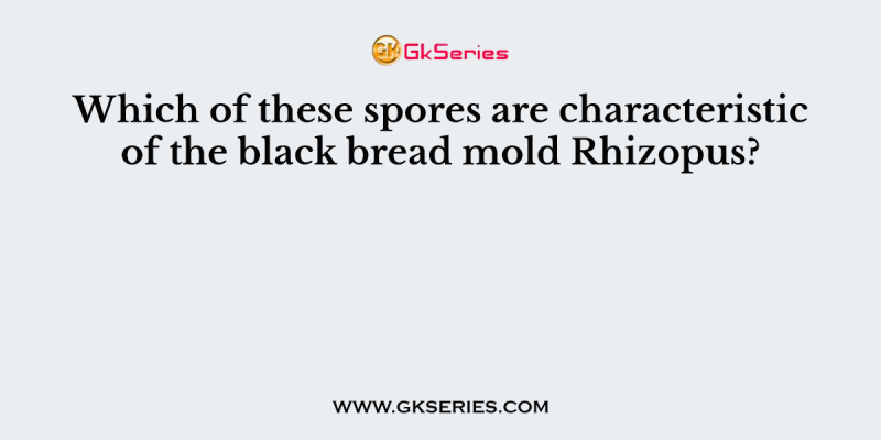 Which of these spores are characteristic of the black bread mold Rhizopus?