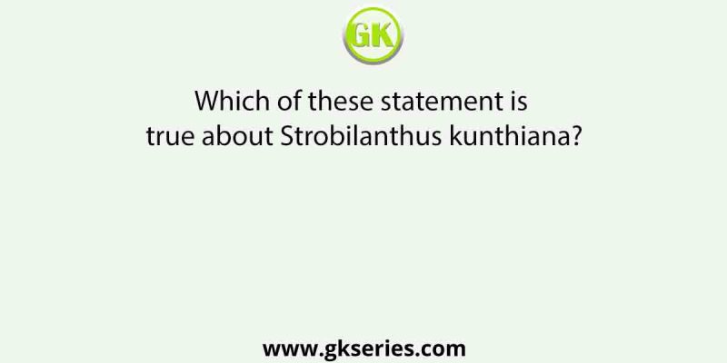 Which of these statement is true about Strobilanthus kunthiana?