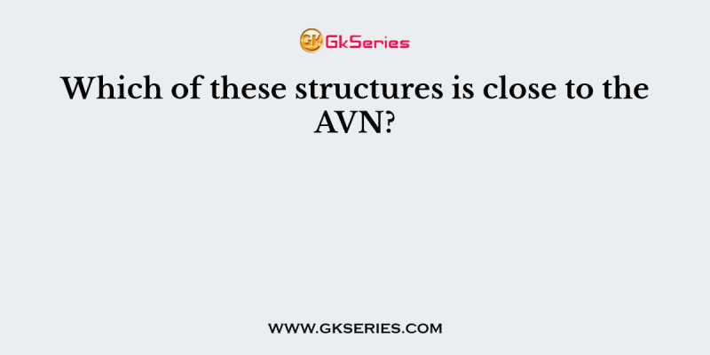 Which of these structures is close to the AVN?