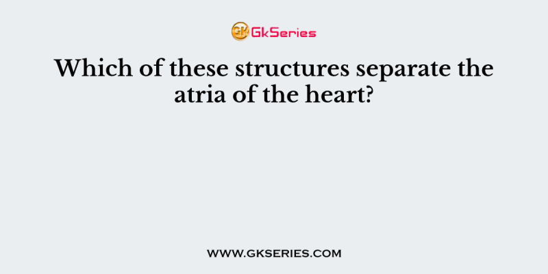 Which of these structures separate the atria of the heart?