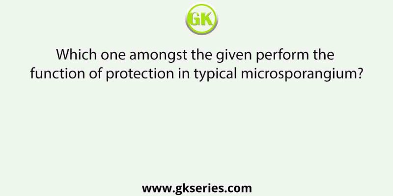 Which one amongst the given perform the function of protection in typical microsporangium?