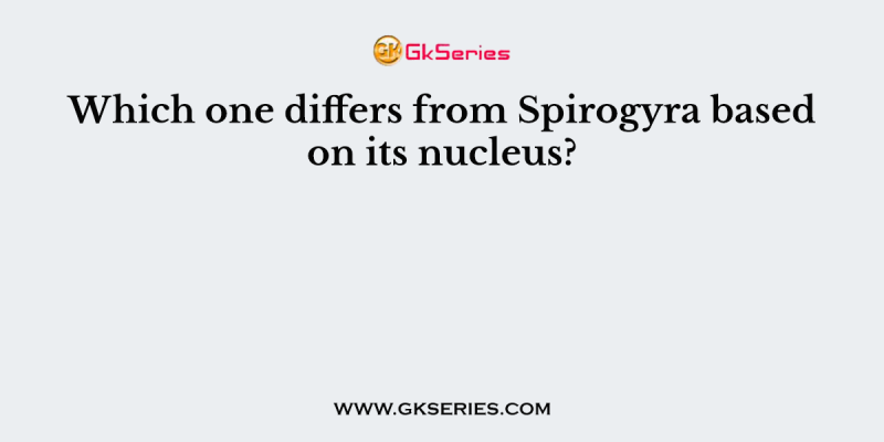 Which one differs from Spirogyra based on its nucleus?