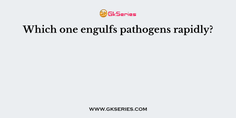 Which one engulfs pathogens rapidly?