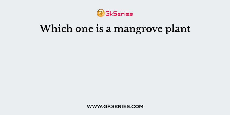Which one is a mangrove plant