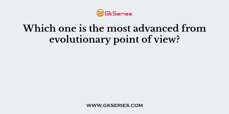 Which one is the most advanced from evolutionary point of view?