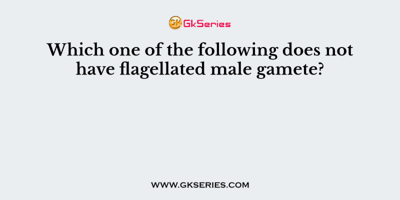 Which one of the following does not have flagellated male gamete?