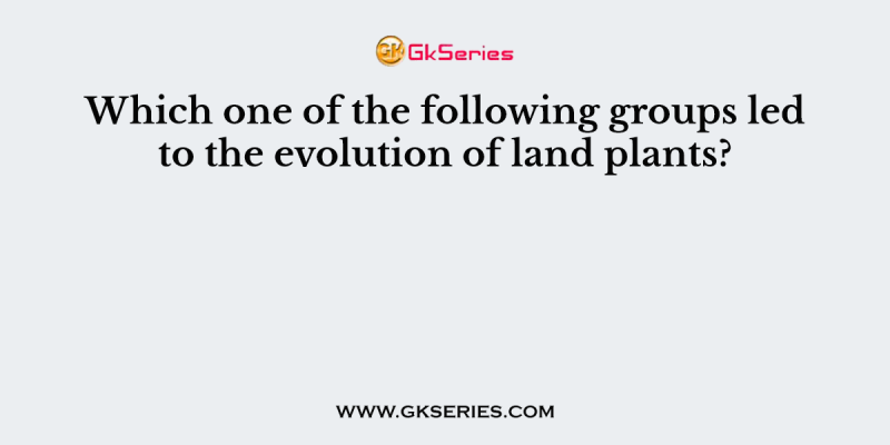 Which one of the following groups led to the evolution of land plants?