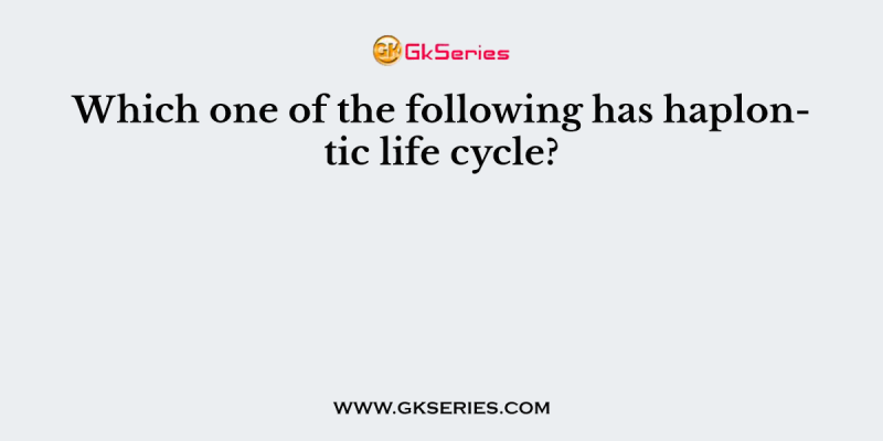 Which one of the following has haplontic life cycle?