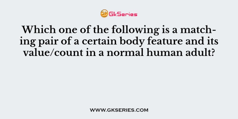 Which one of the following is a matching pair of a certain body feature and its value/count in a normal human adult?