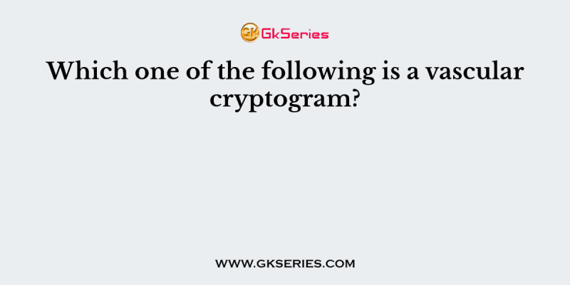 Which one of the following is a vascular cryptogram?