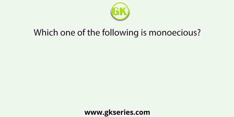 Which one of the following is monoecious? [AIPMT MAINS 2010]