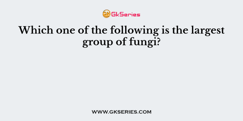 Which one of the following is the largest group of fungi?