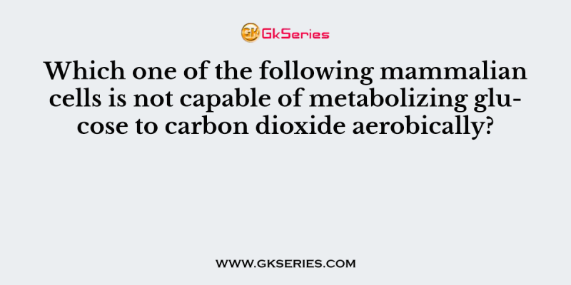 Which one of the following mammalian cells is not capable of metabolizing glucose to carbon dioxide aerobically?