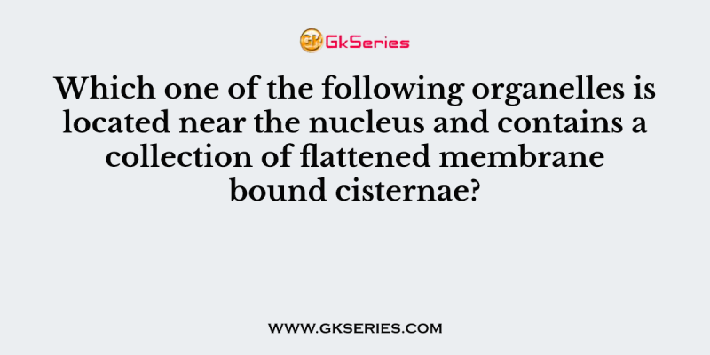 Which one of the following organelles is located near the nucleus and contains a collection of flattened membrane bound cisternae?
