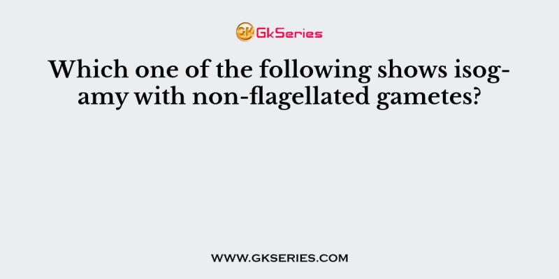 Which one of the following shows isogamy with non-flagellated gametes?