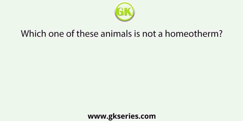 Which one of these animals is not a homeotherm?