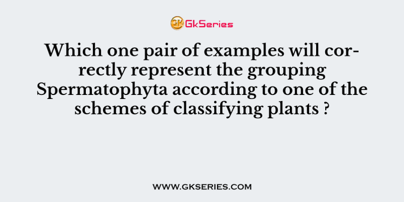 Which one pair of examples will correctly represent the grouping Spermatophyta according to one of the schemes of classifying plants ?