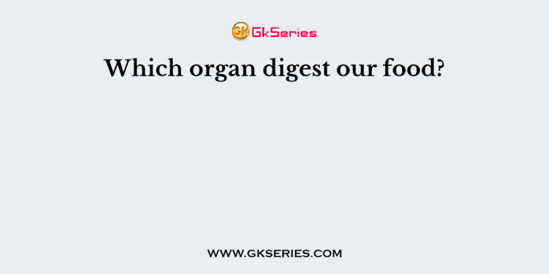 Which organ digest our food?