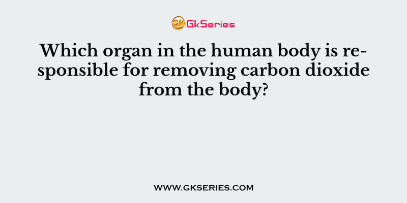Which organ in the human body is responsible for removing carbon dioxide from the body?