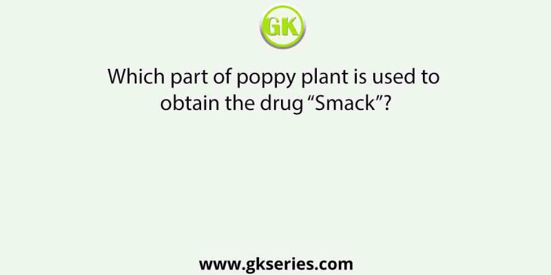 Which part of poppy plant is used to obtain the drug “Smack”?