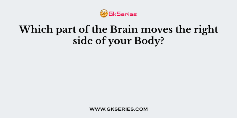 Which part of the Brain moves the right side of your Body?