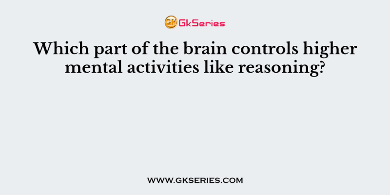 Which part of the brain controls higher mental activities like reasoning?