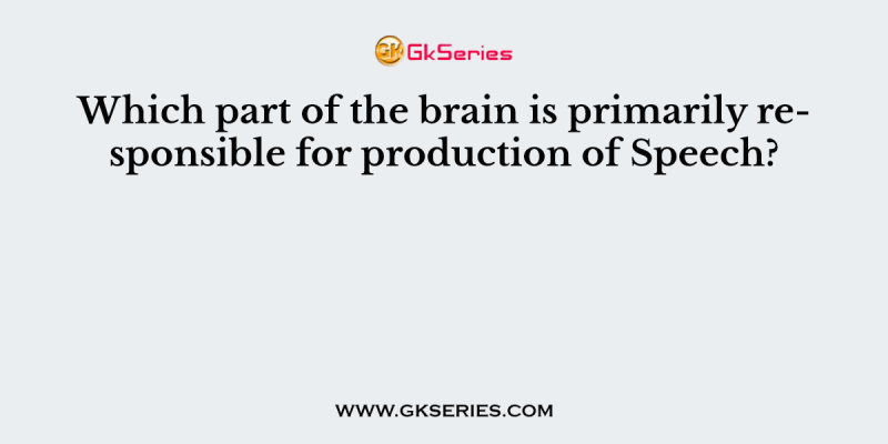 Which part of the brain is primarily responsible for production of Speech?