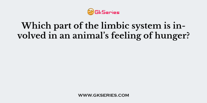 Which part of the limbic system is involved in an animal’s feeling of hunger?