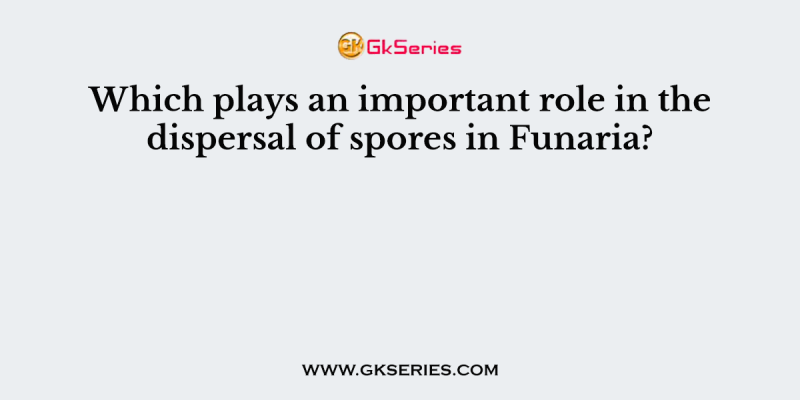Which plays an important role in the dispersal of spores in Funaria?