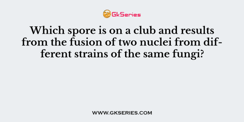 Which spore is on a club and results from the fusion of two nuclei from different strains of the same fungi?