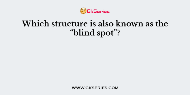 Which structure is also known as the “blind spot”?