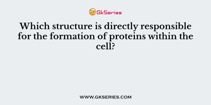 Which structure is directly responsible for the formation of proteins within the cell?