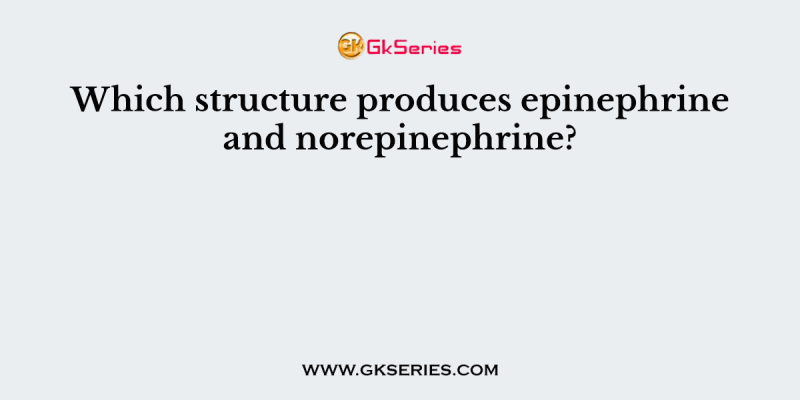 Which structure produces epinephrine and norepinephrine?