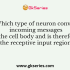 Neuronal cell body consists of a/an _____________ and rough endoplasmic reticulum or Nissl Bodies