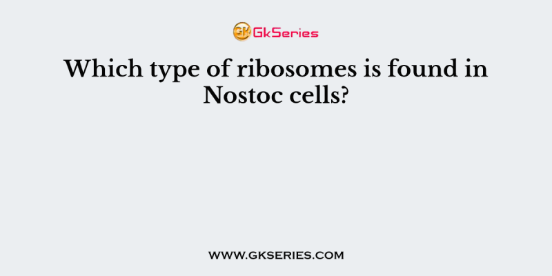 Which type of ribosomes is found in Nostoc cells?
