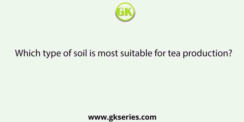 Which type of soil is most suitable for tea production?