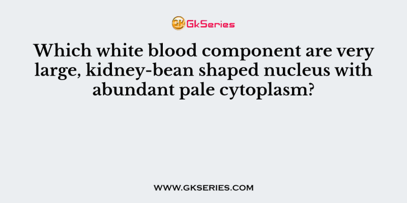 Which white blood component are very large, kidney-bean shaped nucleus with abundant pale cytoplasm?