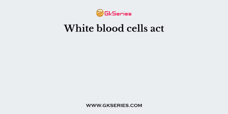 White blood cells act