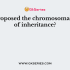 Which of the following statements is true about the ends of the chromosome?