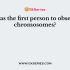 How many sex chromosomes are present in a human being?